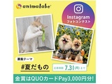 Instagramフォトコンテスト「#夏だもの」