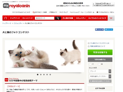 犬と猫のフォトコンテスト