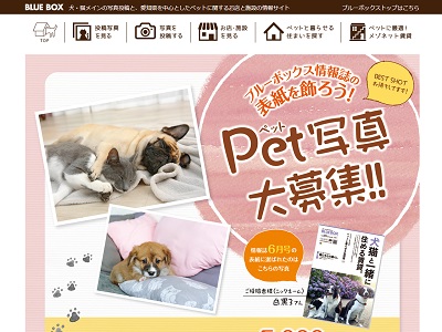 ブルーボックス無料情報誌の表紙募集