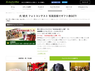 愛犬フォトコンテスト ”年末年始の過ごし方❤”