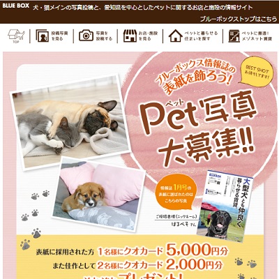 ブルーボックス無料情報誌の表紙募集