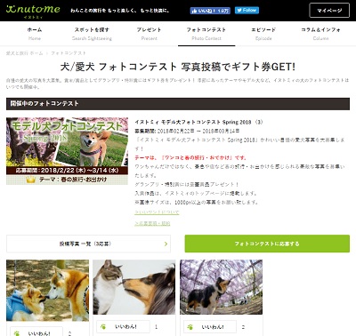 イヌトミィ モデル犬フォトコンテスト Spring 2018