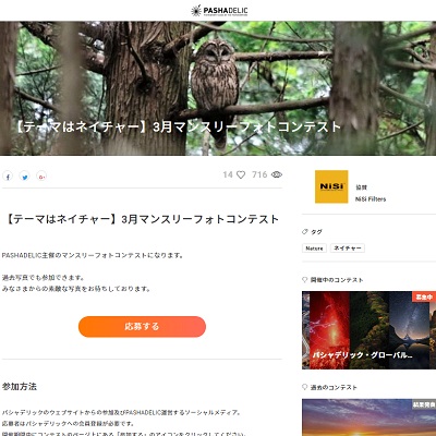 【テーマはネイチャー】3月マンスリーフォトコンテスト【PASHADELIC】