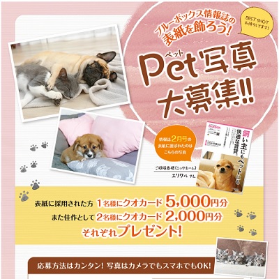 6月号 ブルーボックス無料情報誌の表紙募集