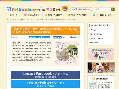 愛猫のしあわせ顔フォトコンテスト♪癒しのほっこり写真を大募集!
