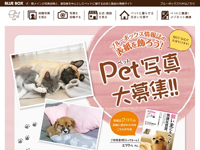 8月号 ブルーボックス無料情報誌の表紙募集