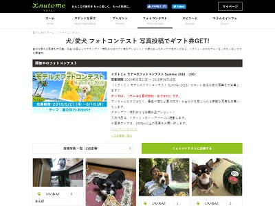 イヌトミィ モデル犬フォトコンテスト Summer 2018
