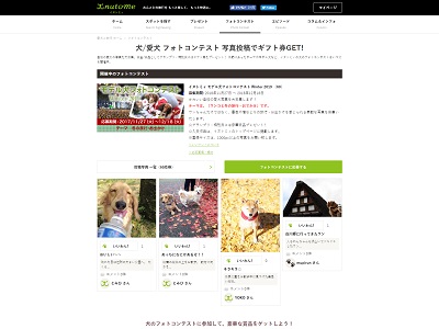 イヌトミィ モデル犬フォトコンテスト Winter 2018