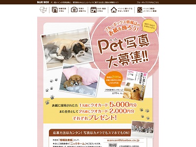 2月号 ブルーボックス無料情報誌の表紙募集