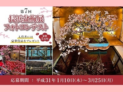 第7回長浜盆梅展フォトコンテスト