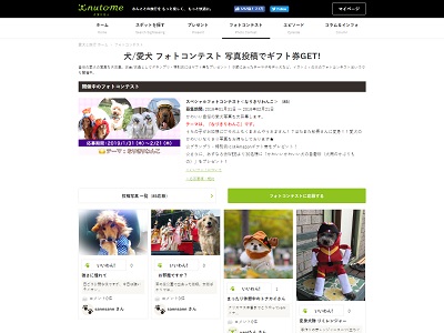 【イヌトミィ】 スペシャルフォトコンテスト<なりきりわんこ>