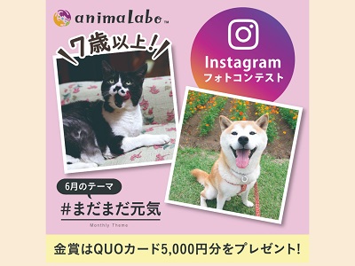犬猫Instagramフォトコンテスト「#まだまだ元気」