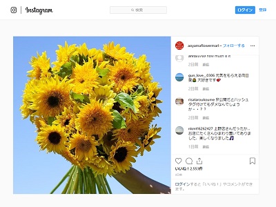 ひまわりフォトコンテスト