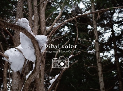 bibai color Instagram Photocontest 2019-20