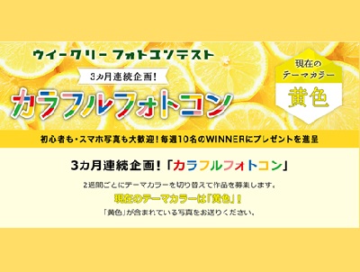 ウィークリーフォトコンテスト 3カ月連続企画「カラフルフォトコン」