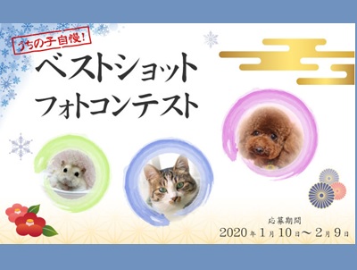 うちの子自慢!ベストショットフォトコンテスト