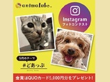 animaLabo 第22回Instagramフォトコンテスト「どあっぷ」