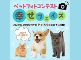 選ばれたらペットの専門店コジマ情報誌に掲載！『幸せフェイス』フォトコン