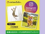 犬猫Instagramフォトコンテスト「元気印」