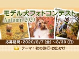 イヌトミィ モデル犬フォトコンテスト Autumn 2020