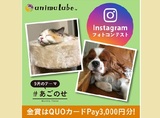 犬猫Instagramフォトコンテスト「#あごのせ」