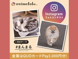 Instagramフォトコンテスト「#まんまる」