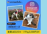 Instagramフォトコンテスト「#決めポーズ」