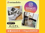 第35回　Instagramフォトコンテスト「#いたずら」
