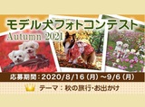 イヌトミィ モデル犬フォトコンテスト Autumn 2021
