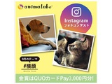 第38回Instagramフォトコンテスト「横顔」