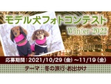 イヌトミィ モデル犬フォトコンテスト Winter 2022