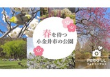 春を待つ小金井市の公園フォトコンテスト開催。公園の植物・生き物・風景の写真を募集します！