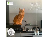 換気扇のスターフィルター 猫の日「キッチンと猫」フォトコンテスト