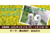 イヌトミィ モデル犬フォトコンテスト Spring 2022
