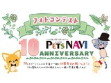 選ばれたらペットの専門店コジマ情報誌に掲載！『PETS NAVI10周年』フォトコン開催中