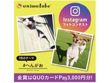 Instagramフォトコンテスト「#へんがお」