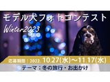 イヌトミィ モデル犬フォトコンテスト Winter 2023