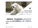 円山動物園ホッキョクグマ×coo･ma 2023年度カレンダープロジェクト