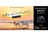 DOG PHOTOGRAPHERS 50th記念 #愛犬と私のワンダフルデイズ フォトコンテスト