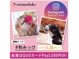 Instagramフォトコンテスト「#秋みっけ」