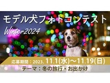イヌトミィ モデル犬フォトコンテスト Winter2024