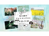鶴見区 花と緑のフォトコンテスト2023