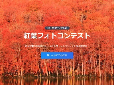 紅葉フォトコンテスト