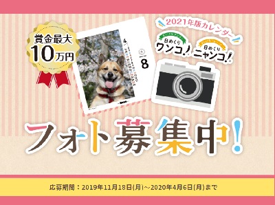 日めくりワンコ!®日めくりニャンコ!®2021年カレンダーフォト募集