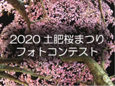 2020 土肥桜祭りフォトコンテスト