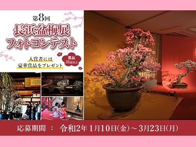 第8回長浜盆梅展フォトコンテスト