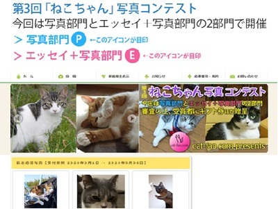 第3回ねこちゃん写真コンテスト