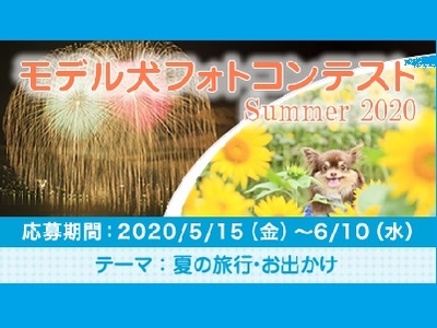 イヌトミィ モデル犬フォトコンテスト Summer 2020