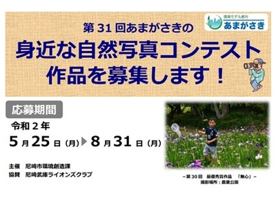 第31回あまがさきの身近な自然写真コンテスト