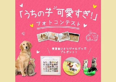 「うちの子可愛すぎ!」フォトコンテスト